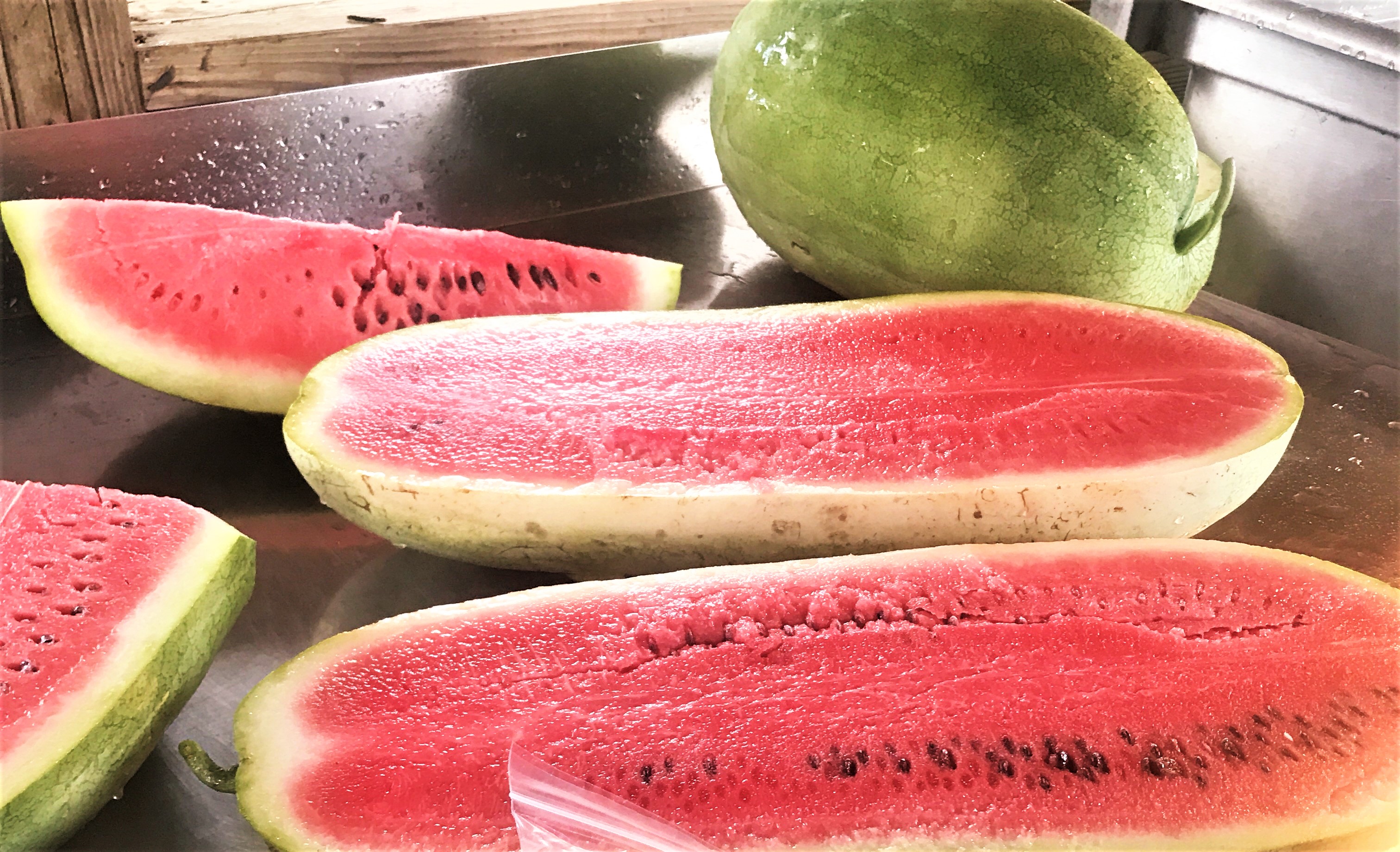 50 Charleston Gray Watermelon Seeds – Sweet Red Fruit Melon, USA-Grown